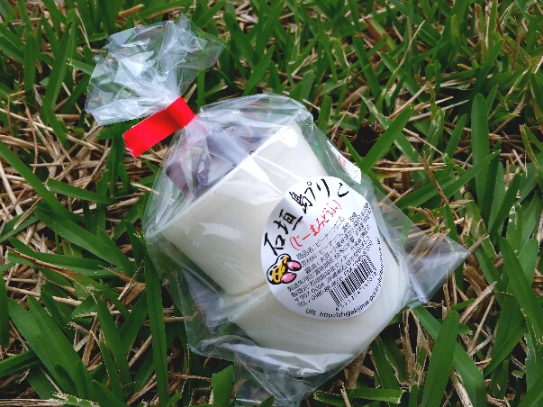 ジーマミー豆腐】デザートに最適！通販でも買えますよ | 石垣島ナビ