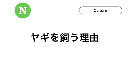 うちなーぐち 沖縄の方言 一覧 石垣島ナビ