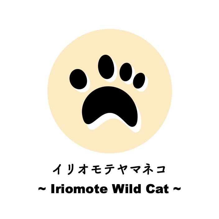 イリオモテヤマネコ｜見れる確率は？ヤマネコにちなんだスポット紹介！