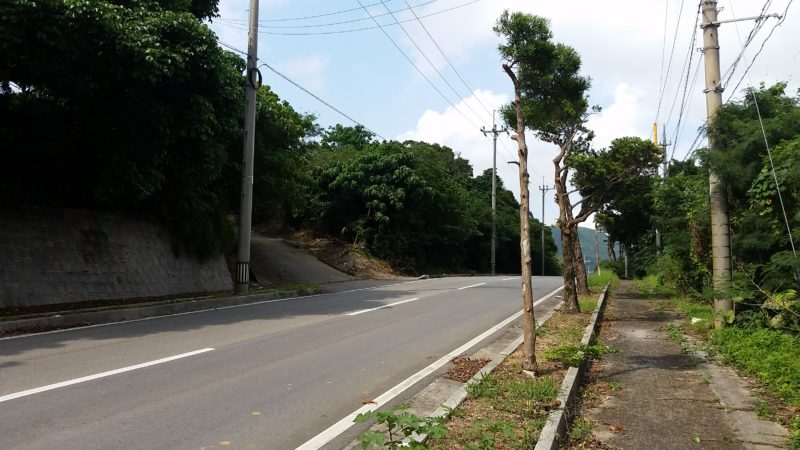 野底マーペーに登るときに知っておきたい3つのこと 石垣島ナビ