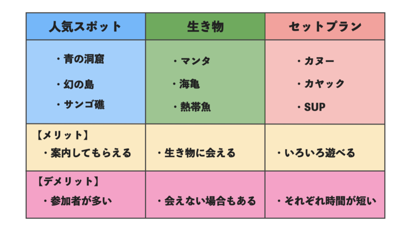 石垣島ツアーシュノーケリングの種類