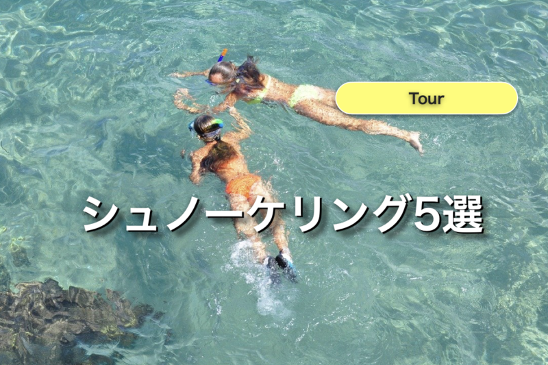 石垣島 シュノーケリング ツアー