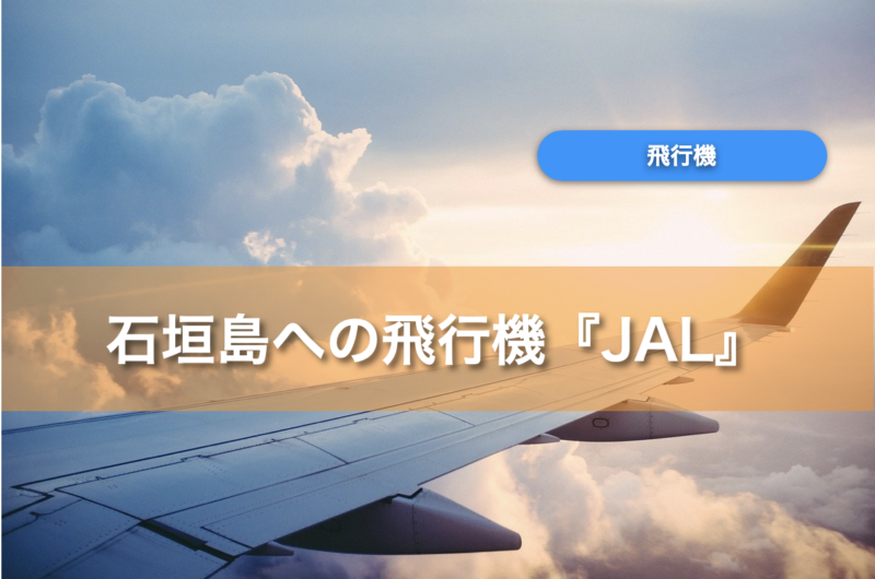 石垣島へ飛行機で行くには ルート 料金 トラブル時の対処法 石垣島ナビ