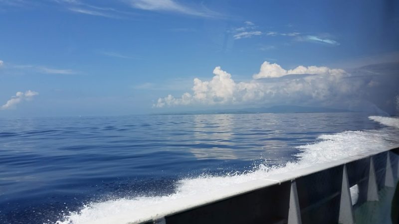 【那覇⇄渡嘉敷島】フェリー