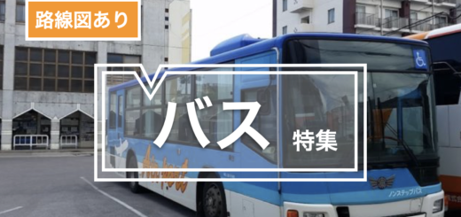 石垣島 バス