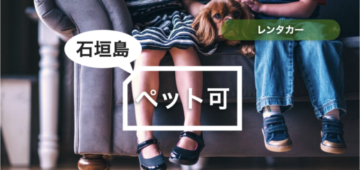 石垣島 レンタカー ペット可