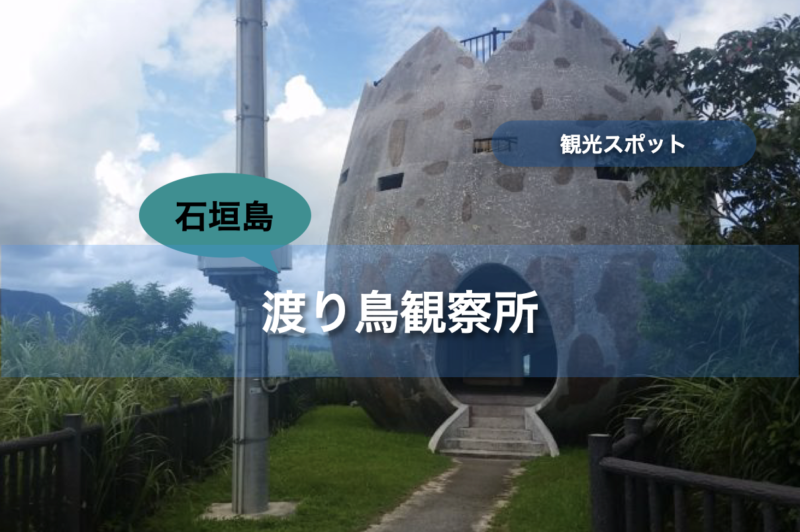 【石垣島】渡り鳥観察所｜行き方・遊び方・周辺のお店