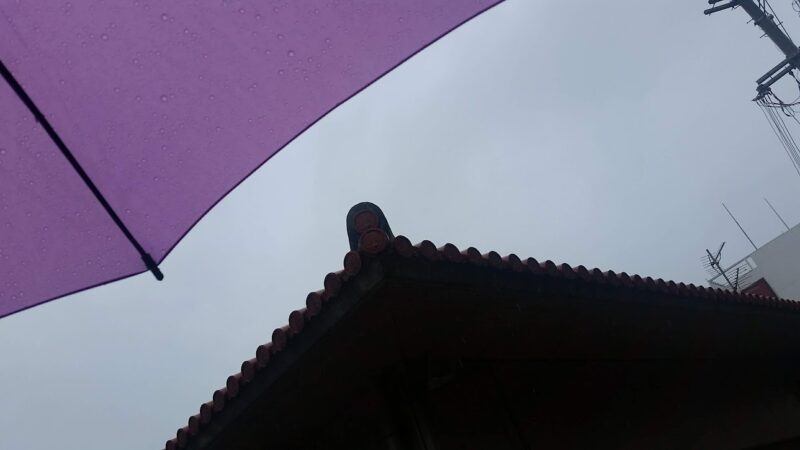 【石垣島】観光｜雨の日でも楽しめるスポット8選