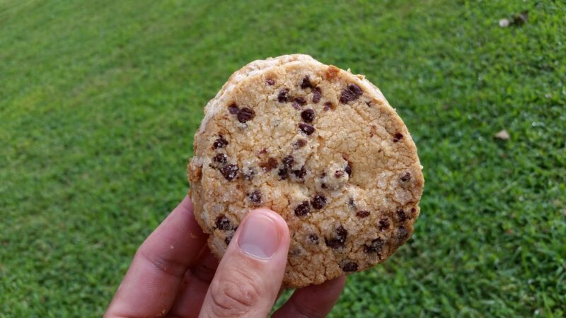 パンドゥミー チョコチップクッキー