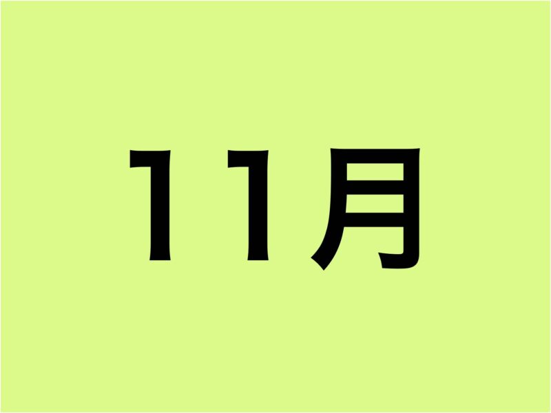 11月