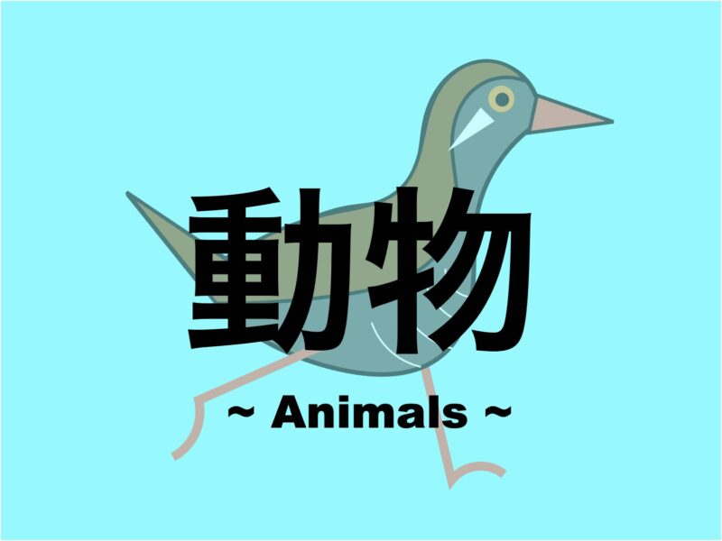 【沖縄】動物